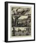 Incidents in a Settler's Life in Australia-null-Framed Giclee Print