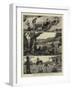 Incidents in a Settler's Life in Australia-null-Framed Giclee Print