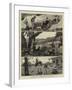 Incidents in a Settler's Life in Australia-null-Framed Giclee Print