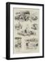 Incidents of Farmyard Life-Edward Killingworth Johnson-Framed Giclee Print