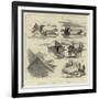 Incidents of Mail-Cart Travelling in South Africa-null-Framed Giclee Print