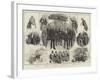 Incidents of the Opening of Parliament-Thomas Walter Wilson-Framed Giclee Print