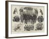 Incidents of the Opening of Parliament-Thomas Walter Wilson-Framed Giclee Print