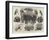 Incidents of the Opening of Parliament-Thomas Walter Wilson-Framed Giclee Print