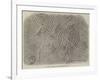 Incised Stones on the Cheviot Hills-null-Framed Giclee Print