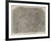 Incised Stones on the Cheviot Hills-null-Framed Giclee Print