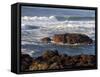 Incoming Tide at Yachats, Yachats, Oregon, USA-Michel Hersen-Framed Stretched Canvas