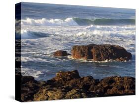 Incoming Tide at Yachats, Yachats, Oregon, USA-Michel Hersen-Stretched Canvas