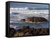 Incoming Tide at Yachats, Yachats, Oregon, USA-Michel Hersen-Framed Stretched Canvas