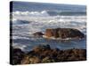 Incoming Tide at Yachats, Yachats, Oregon, USA-Michel Hersen-Stretched Canvas