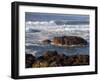 Incoming Tide at Yachats, Yachats, Oregon, USA-Michel Hersen-Framed Photographic Print