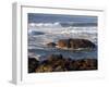 Incoming Tide at Yachats, Yachats, Oregon, USA-Michel Hersen-Framed Photographic Print