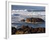 Incoming Tide at Yachats, Yachats, Oregon, USA-Michel Hersen-Framed Photographic Print