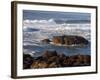 Incoming Tide at Yachats, Yachats, Oregon, USA-Michel Hersen-Framed Photographic Print