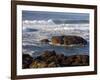 Incoming Tide at Yachats, Yachats, Oregon, USA-Michel Hersen-Framed Photographic Print