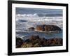 Incoming Tide at Yachats, Yachats, Oregon, USA-Michel Hersen-Framed Photographic Print