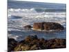 Incoming Tide at Yachats, Yachats, Oregon, USA-Michel Hersen-Mounted Photographic Print