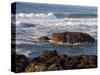 Incoming Tide at Yachats, Yachats, Oregon, USA-Michel Hersen-Stretched Canvas
