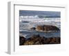 Incoming Tide at Yachats, Yachats, Oregon, USA-Michel Hersen-Framed Photographic Print