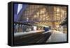 Incoming Train, Alexanderplatz S Bahn Station, Berlin, Germany, Europe-Markus Lange-Framed Stretched Canvas