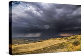 Incoming-Giuseppe Torre-Stretched Canvas