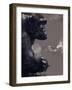 Incomplete-Gabriella Roberg-Framed Photographic Print