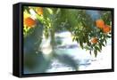 Canvas Black