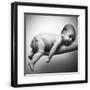 Black Frame