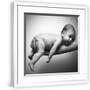 White Frame