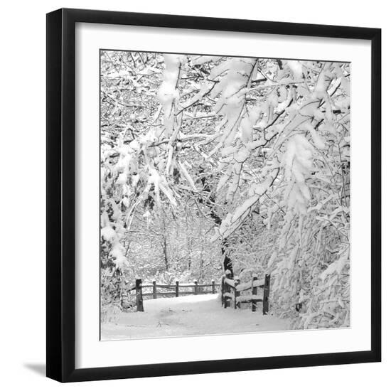 Premium Photographic Print, , large