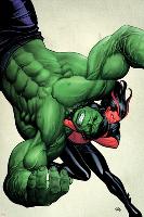 Incredible Hulks No.629 Cover: Hulk and Red She-Hulk Fighting-Frank Cho-Lamina Framed Poster