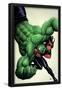 Incredible Hulks No.629 Cover: Hulk and Red She-Hulk Fighting-Frank Cho-Framed Poster