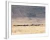 Incredible Maasai-Mathilde Guillemot-Framed Photographic Print