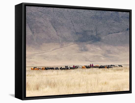 Incredible Maasai-Mathilde Guillemot-Framed Stretched Canvas