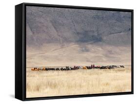 Incredible Maasai-Mathilde Guillemot-Framed Stretched Canvas