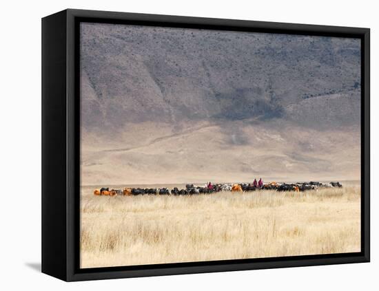 Incredible Maasai-Mathilde Guillemot-Framed Stretched Canvas