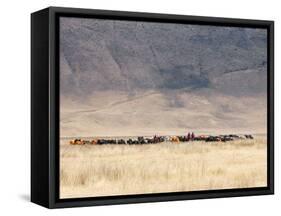 Incredible Maasai-Mathilde Guillemot-Framed Stretched Canvas