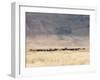 Incredible Maasai-Mathilde Guillemot-Framed Photographic Print