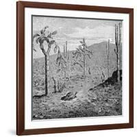 Indefatigable Island, Galapagos Archipelago, 1895-null-Framed Giclee Print