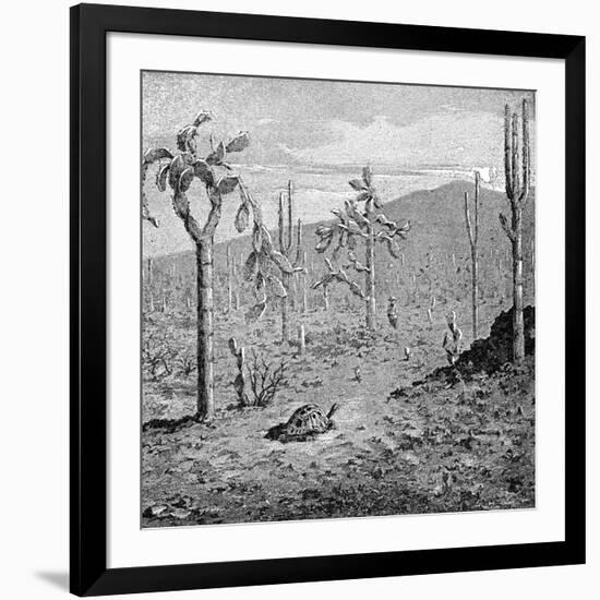 Indefatigable Island, Galapagos Archipelago, 1895-null-Framed Giclee Print