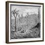 Indefatigable Island, Galapagos Archipelago, 1895-null-Framed Giclee Print