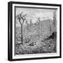 Indefatigable Island, Galapagos Archipelago, 1895-null-Framed Giclee Print