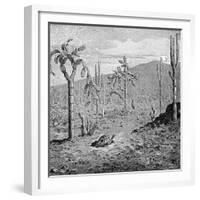 Indefatigable Island, Galapagos Archipelago, 1895-null-Framed Giclee Print