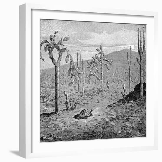 Indefatigable Island, Galapagos Archipelago, 1895-null-Framed Giclee Print