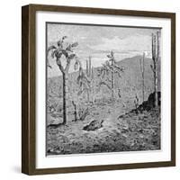 Indefatigable Island, Galapagos Archipelago, 1895-null-Framed Giclee Print