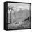 Indefatigable Island, Galapagos Archipelago, 1895-null-Framed Stretched Canvas