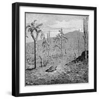 Indefatigable Island, Galapagos Archipelago, 1895-null-Framed Premium Giclee Print