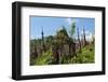 Indein Stupa Complex, Inle Lake, Myanmar-Keren Su-Framed Photographic Print