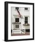 Independence Day-Zhen-Huan Lu-Framed Art Print