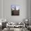 Independence Hall-Matt Rourke-Premium Photographic Print displayed on a wall